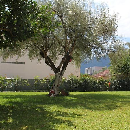 Holiday Lefkas Moonlight Luxury Appartments นิเกียนา ภายนอก รูปภาพ