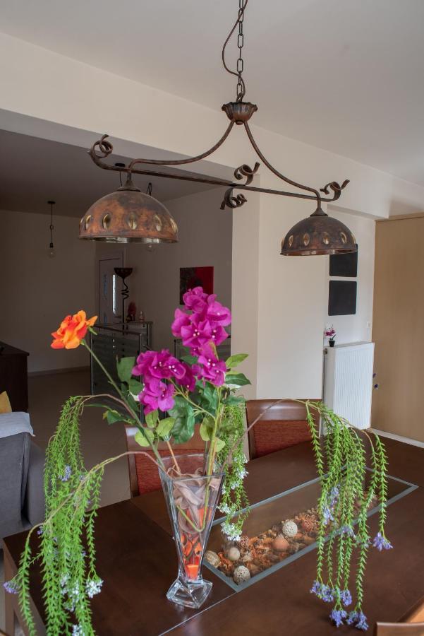 Holiday Lefkas Moonlight Luxury Appartments นิเกียนา ภายนอก รูปภาพ